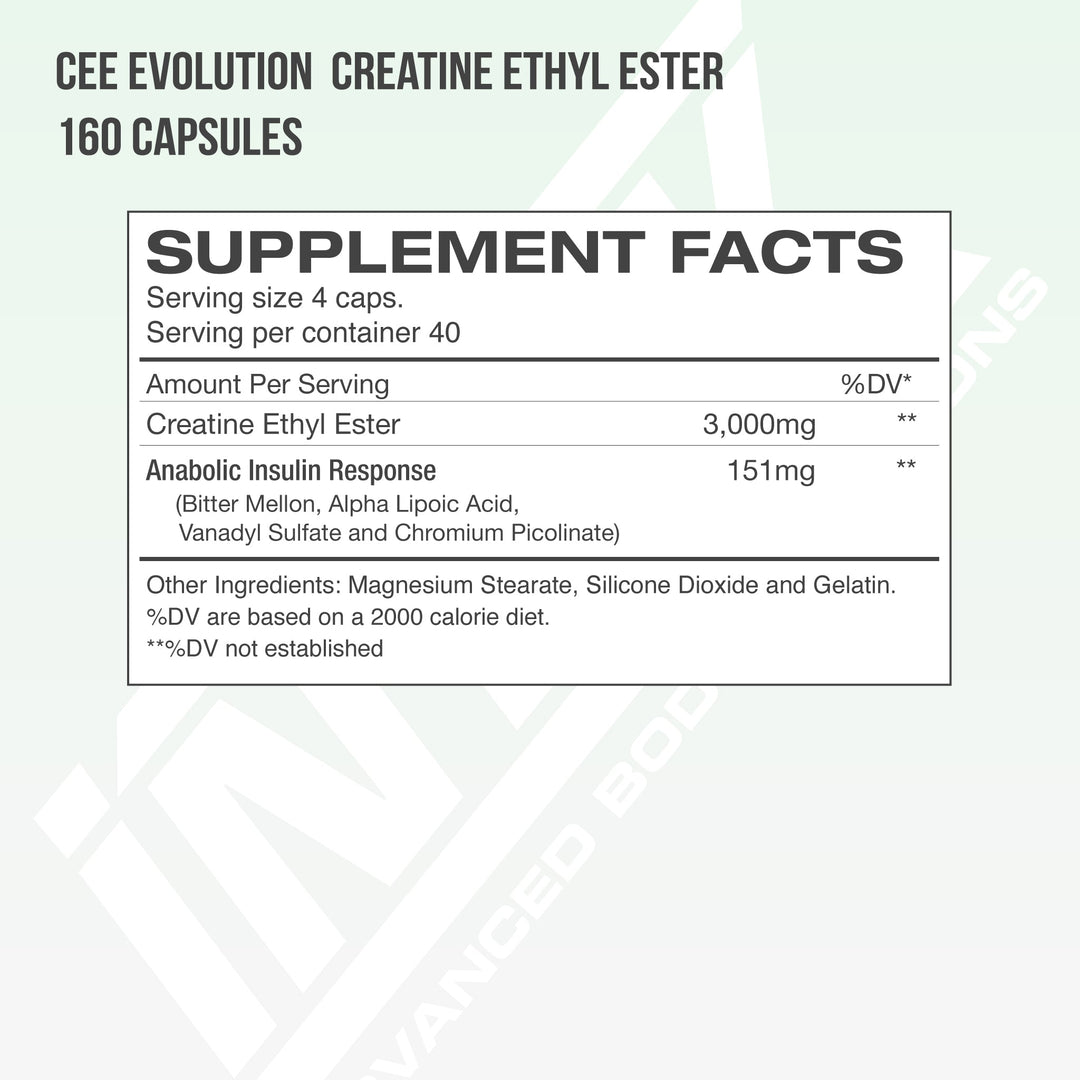 CEE EVOLUTION