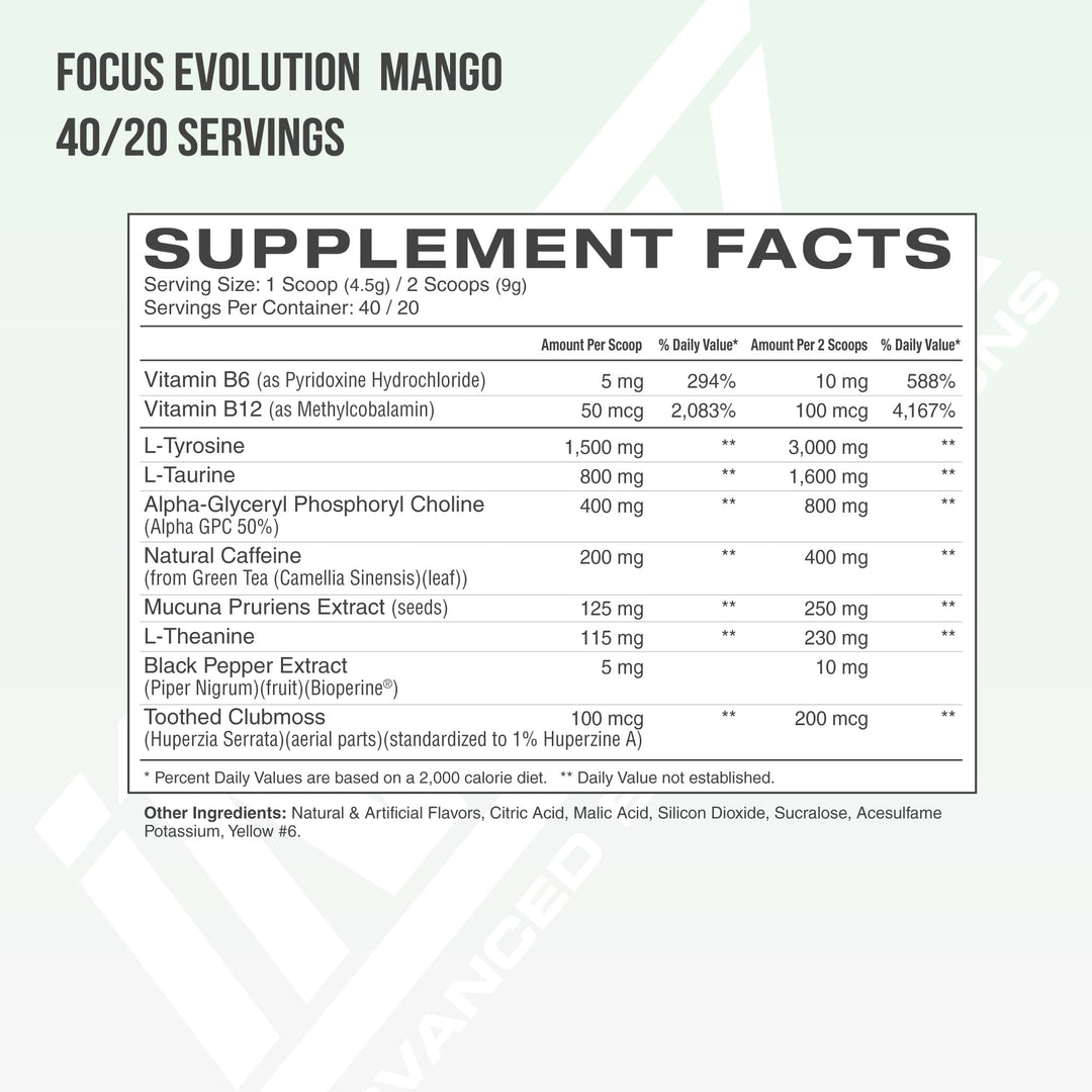 FOCUS EVOLUTION