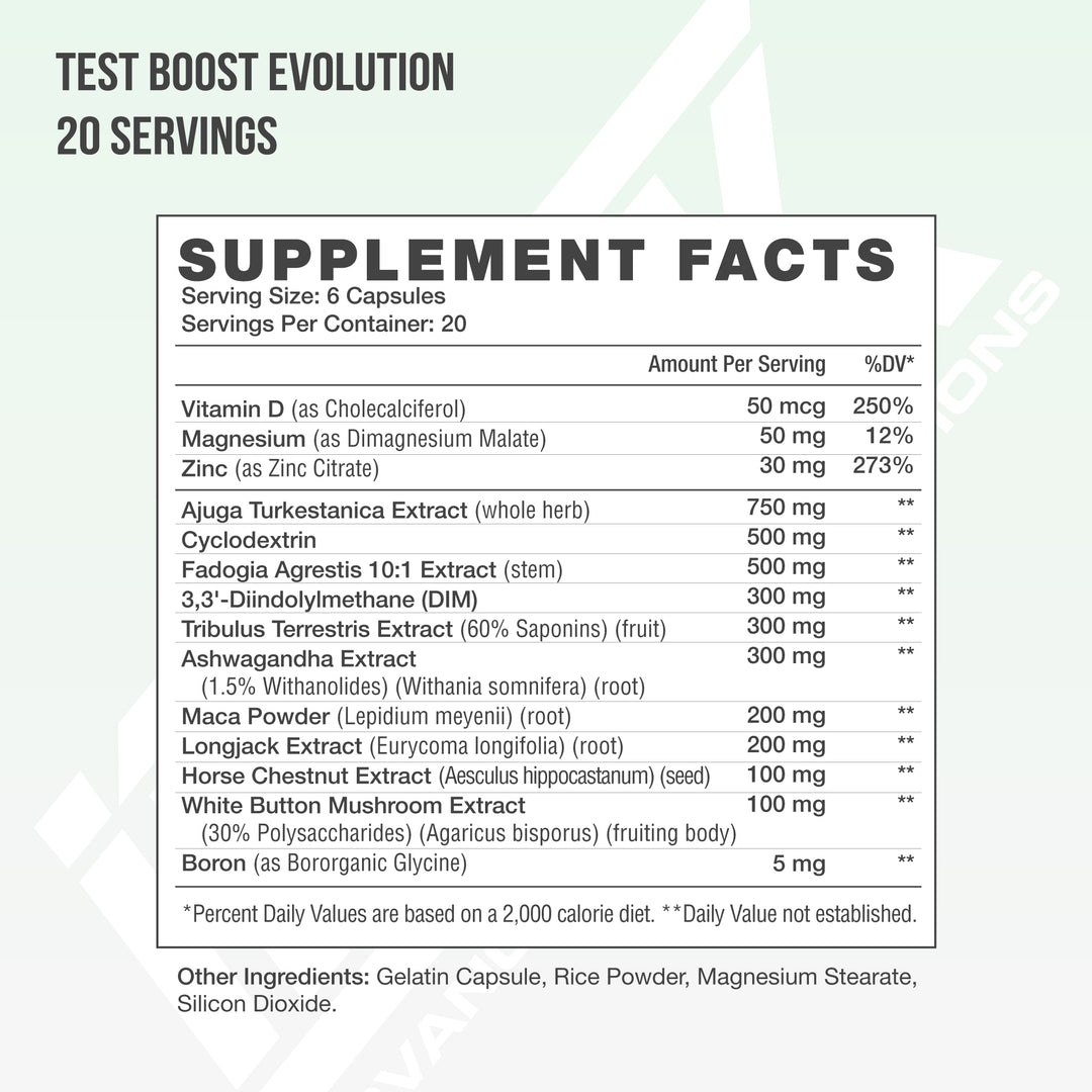 TEST BOOST EVOLUTION