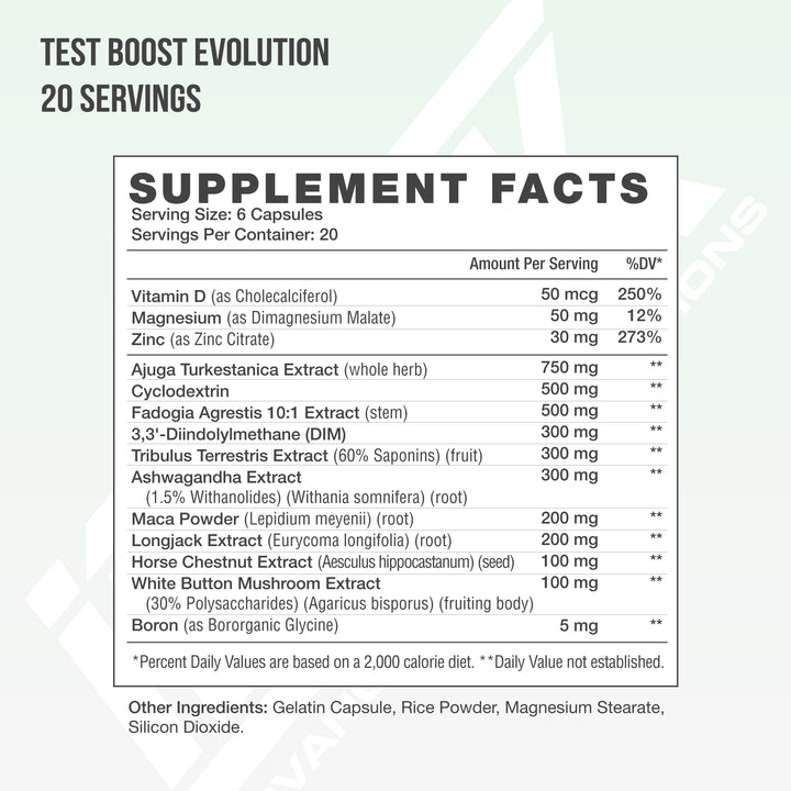 TEST BOOST EVOLUTION